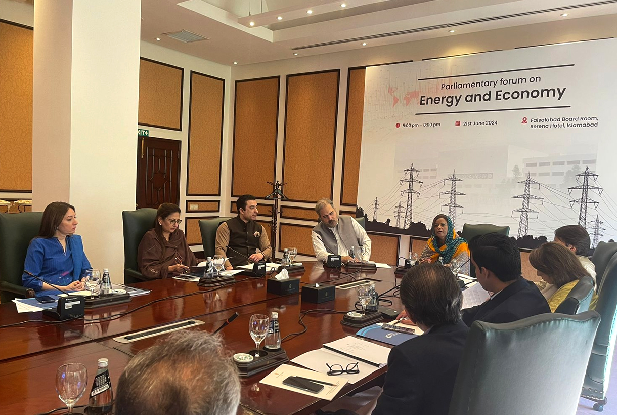 https://energyandeconomyforum.com/wp-content/uploads/2025/01/Image-3.jpg