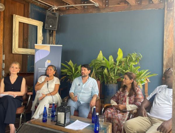 In Pakistan, one in five households uses solar energy: ‘the transition is an economic issue,’ says Pakistani congresswoman Nafisa Shah